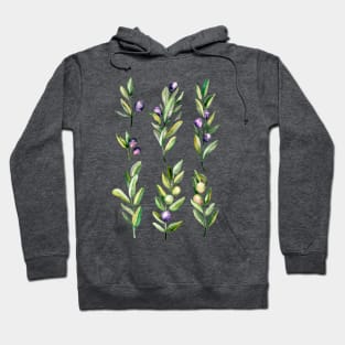 Peace Offering - Watercolour Olive Branches Hoodie